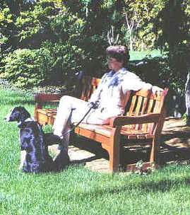 Grears1.JPG (57499 bytes)
